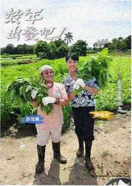 手绘食谱漫画图封面